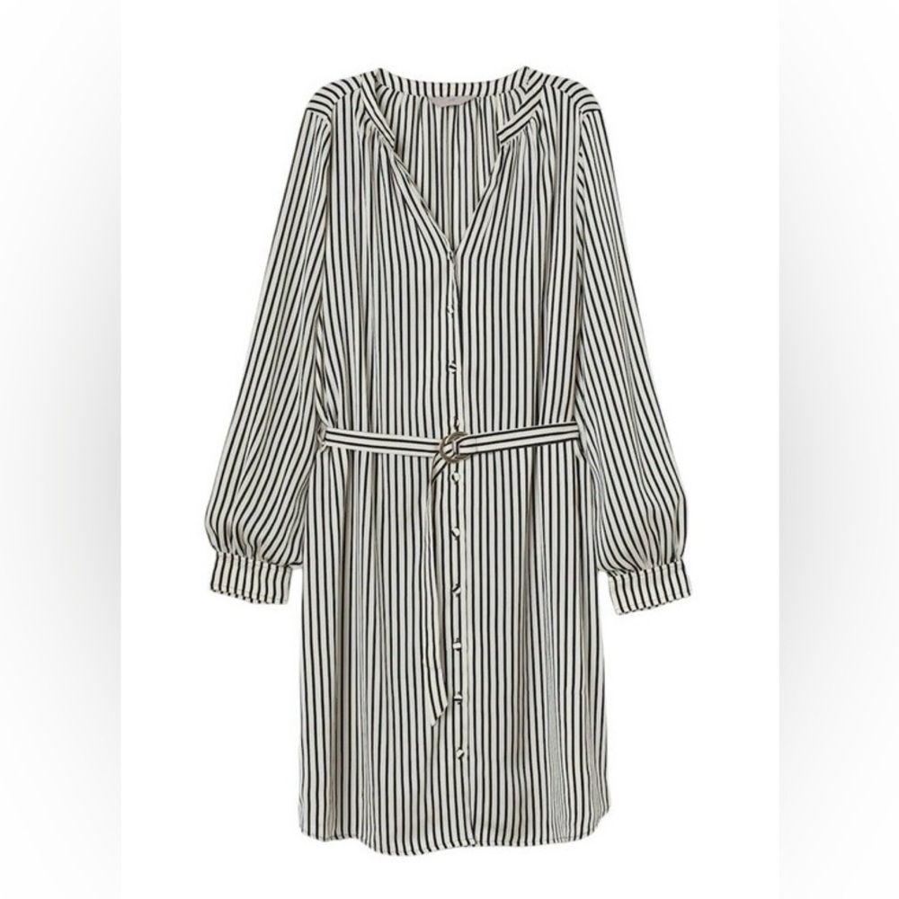 H&M Women’s Satin Button Front Belted Striped Shirt Dress in Black/White XS
